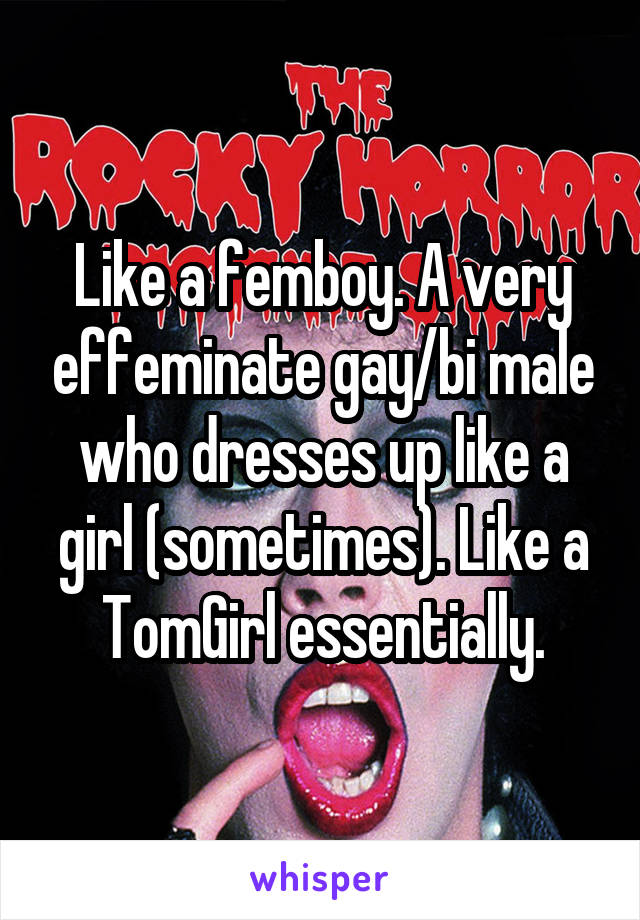 Like a femboy. A very effeminate gay/bi male who dresses up like a girl (sometimes). Like a TomGirl essentially.