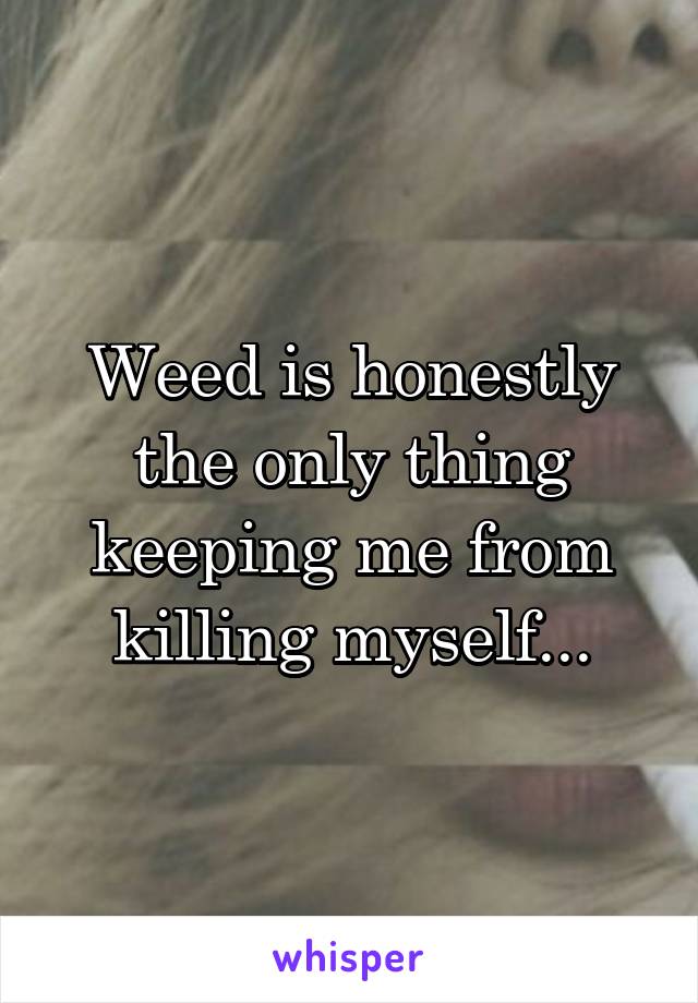 Weed is honestly the only thing keeping me from killing myself...