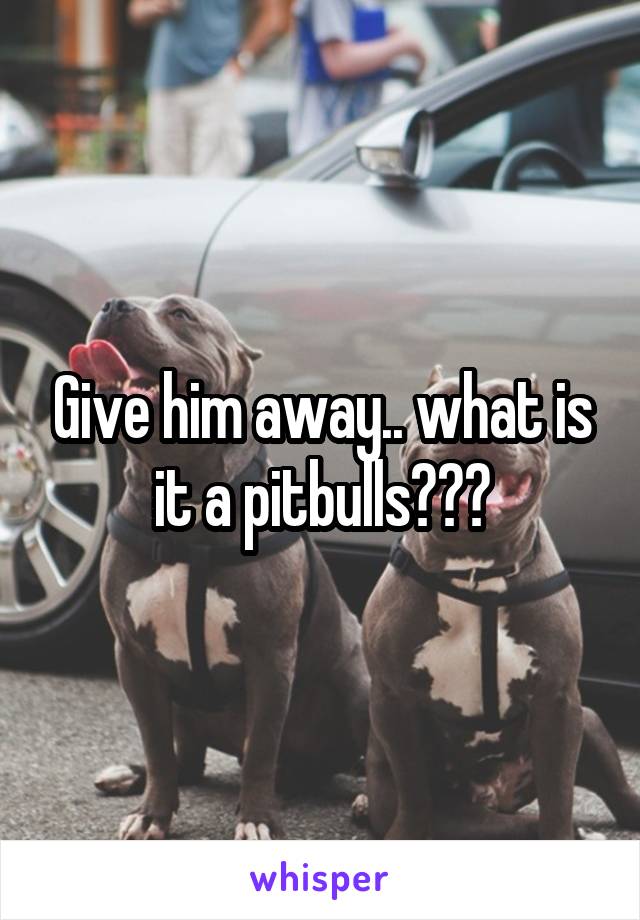 Give him away.. what is it a pitbulls???