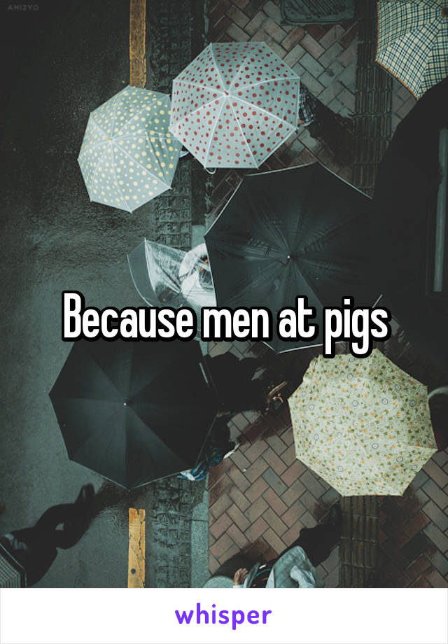 Because men at pigs