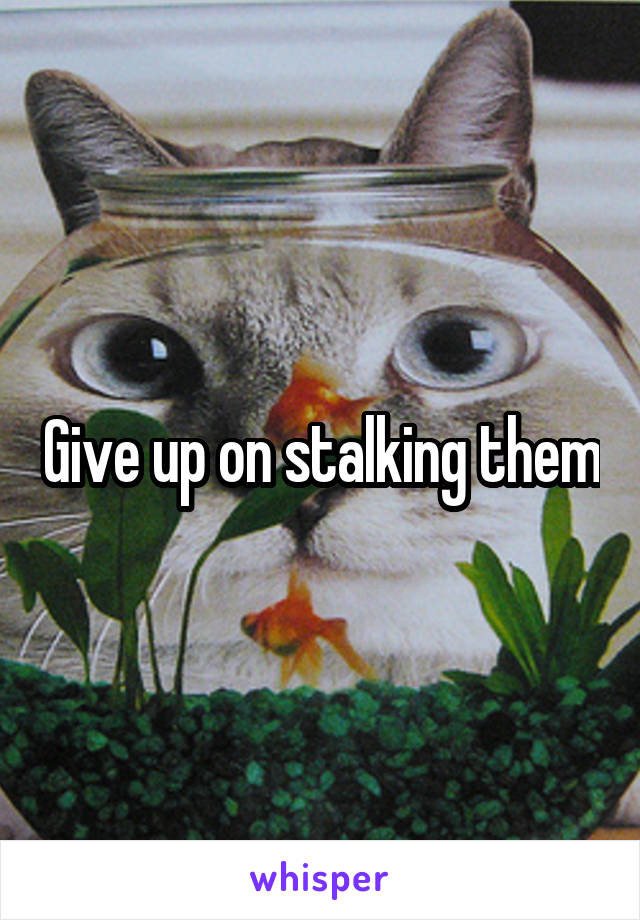 Give up on stalking them