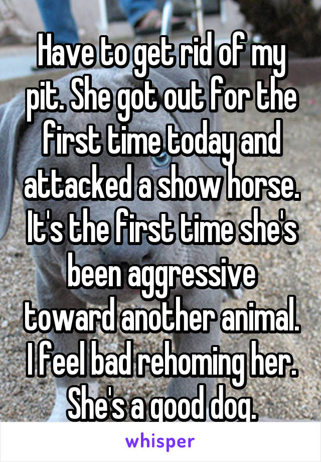 Have to get rid of my pit. She got out for the first time today and attacked a show horse. It's the first time she's been aggressive toward another animal. I feel bad rehoming her. She's a good dog.