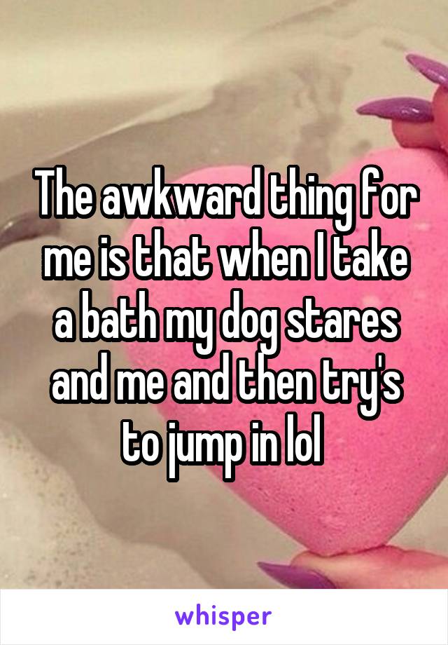 The awkward thing for me is that when I take a bath my dog stares and me and then try's to jump in lol 