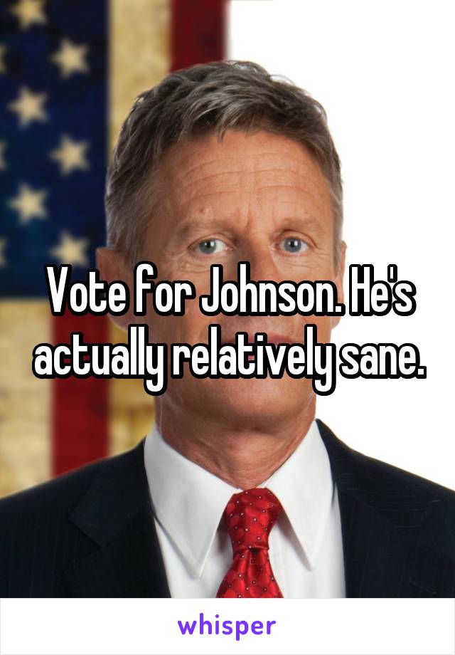 Vote for Johnson. He's actually relatively sane.