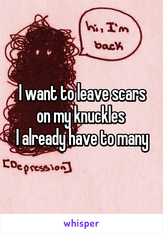 I want to leave scars on my knuckles 
I already have to many