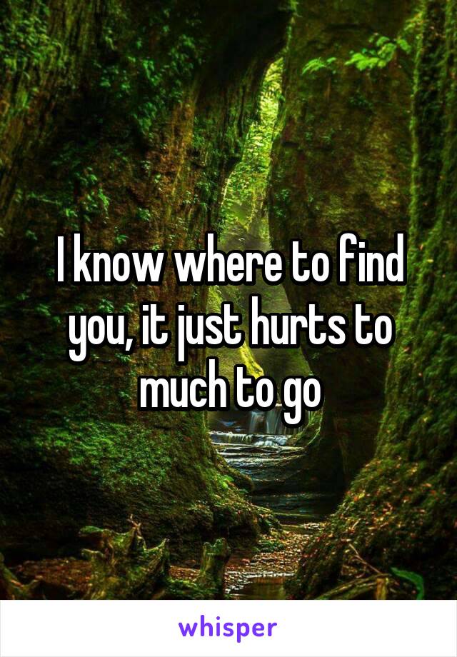 I know where to find you, it just hurts to much to go