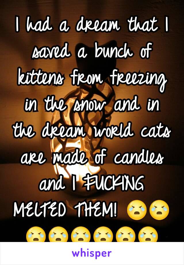 I had a dream that I saved a bunch of kittens from freezing in the snow and in the dream world cats are made of candles and I FUCKING MELTED THEM! 😭😭😭😭😭😭😭😭