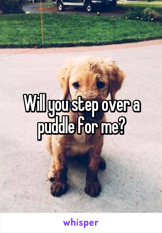 Will you step over a puddle for me?