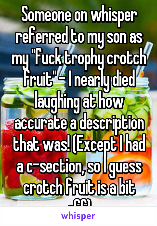 Someone on whisper referred to my son as my "fuck trophy crotch fruit" - I nearly died laughing at how accurate a description that was! (Except I had a c-section, so I guess crotch fruit is a bit off)