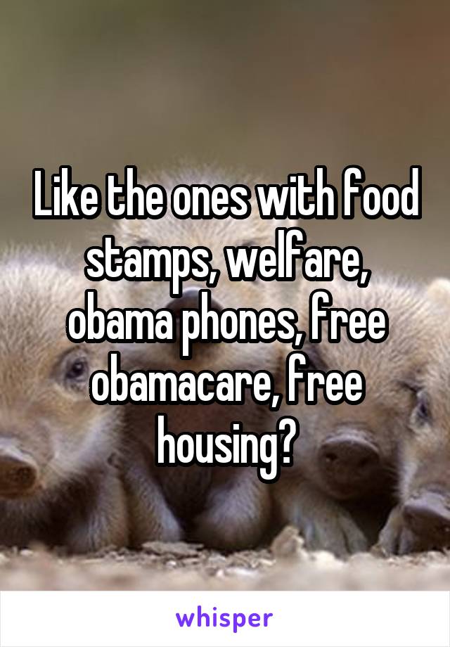 Like the ones with food stamps, welfare, obama phones, free obamacare, free housing?