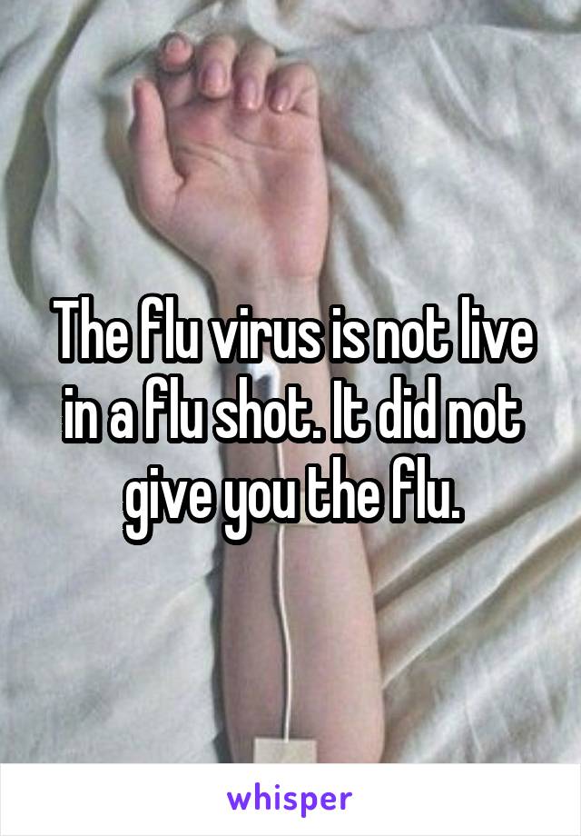The flu virus is not live in a flu shot. It did not give you the flu.