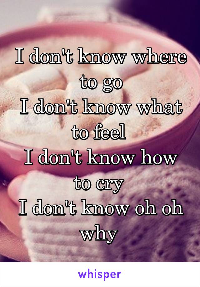 I don't know where to go
I don't know what to feel 
I don't know how to cry 
I don't know oh oh why 