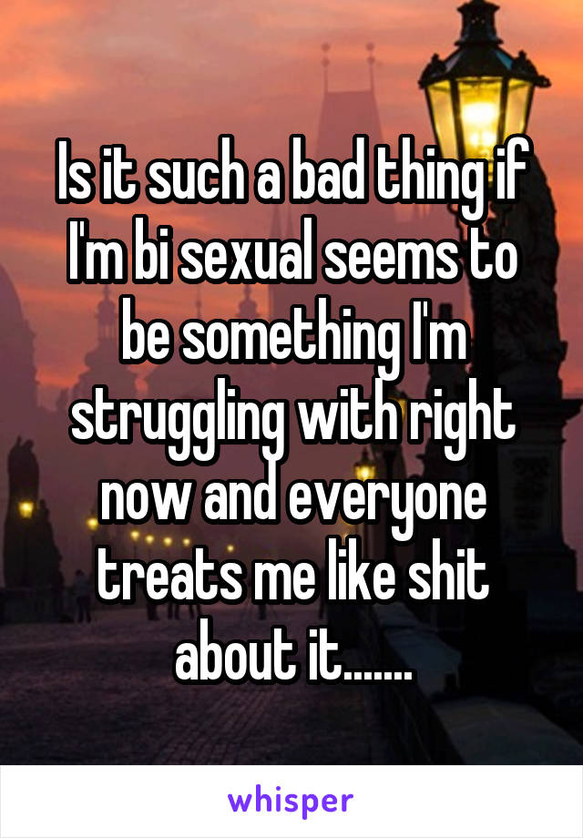 Is it such a bad thing if I'm bi sexual seems to be something I'm struggling with right now and everyone treats me like shit about it.......