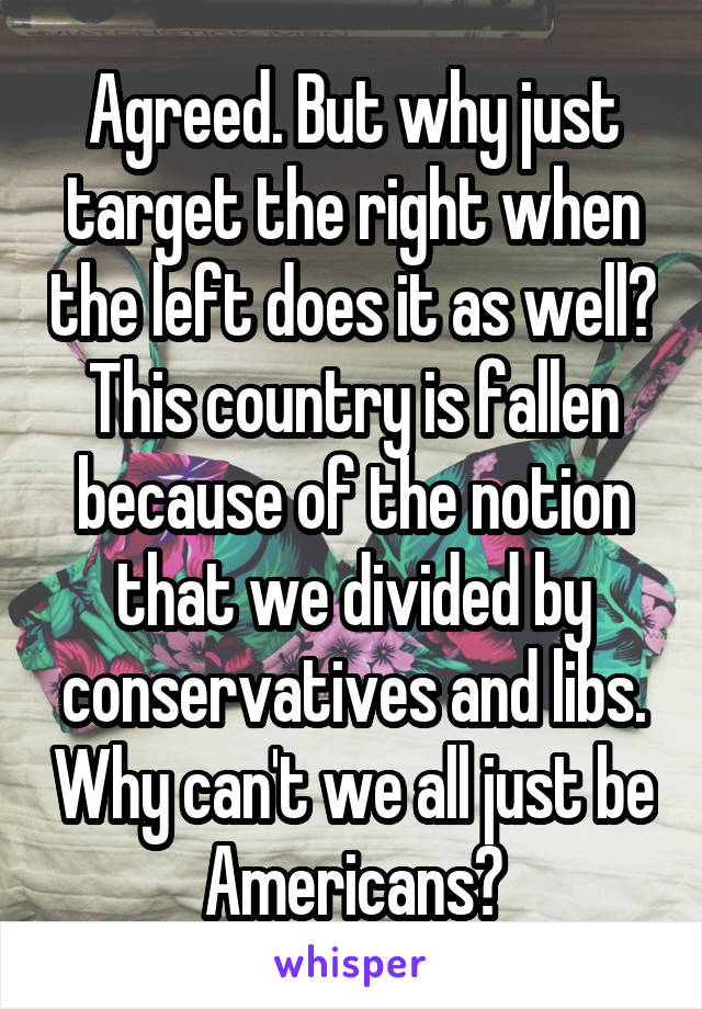 Agreed. But why just target the right when the left does it as well? This country is fallen because of the notion that we divided by conservatives and libs. Why can't we all just be Americans?