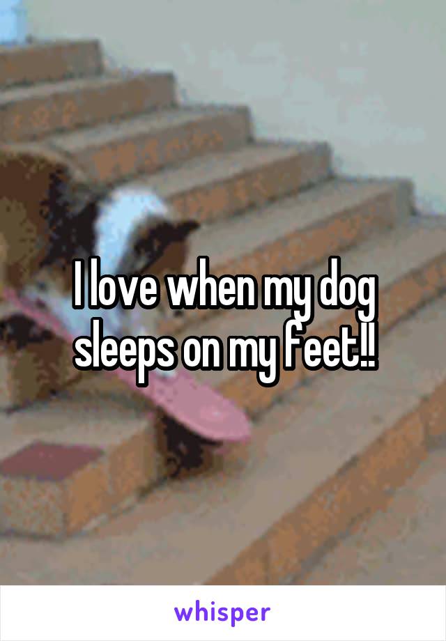 I love when my dog sleeps on my feet!!