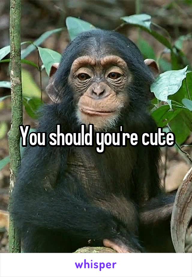 You should you're cute