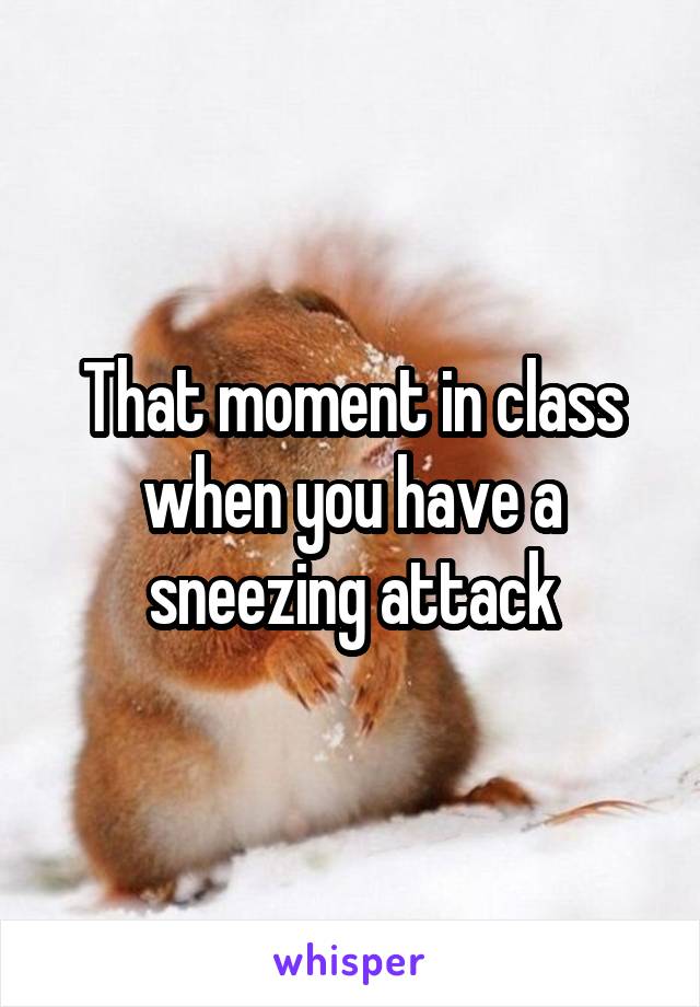 That moment in class when you have a sneezing attack