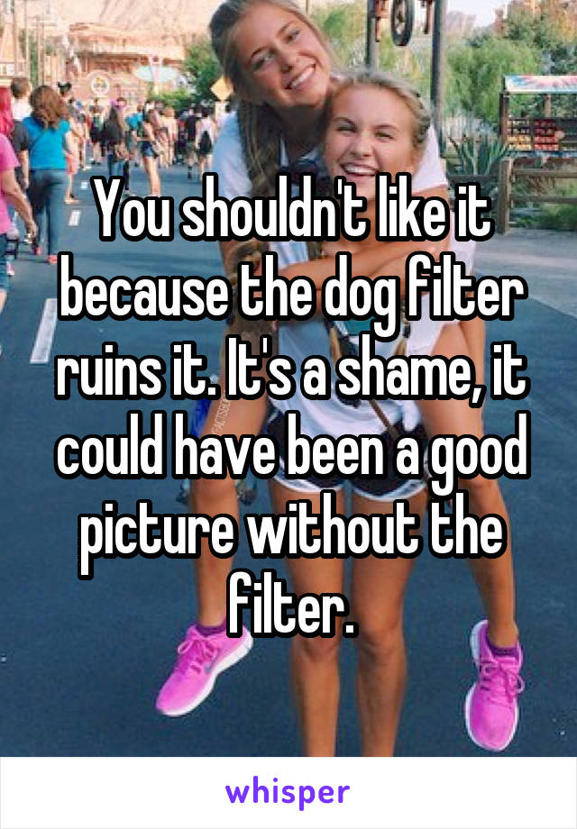 You shouldn't like it because the dog filter ruins it. It's a shame, it could have been a good picture without the filter.