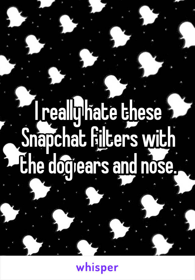 I really hate these Snapchat filters with the dog ears and nose.