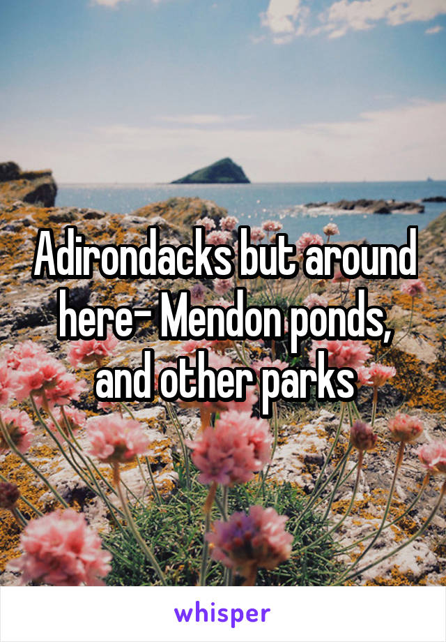 Adirondacks but around here- Mendon ponds, and other parks