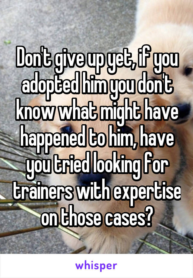 Don't give up yet, if you adopted him you don't know what might have happened to him, have you tried looking for trainers with expertise on those cases?