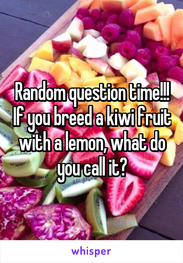 Random question time!!! If you breed a kiwi fruit with a lemon, what do you call it?