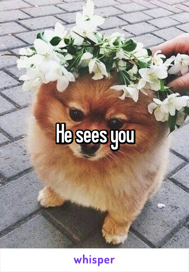 He sees you