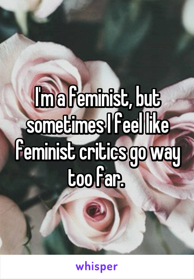 I'm a feminist, but sometimes I feel like feminist critics go way too far. 