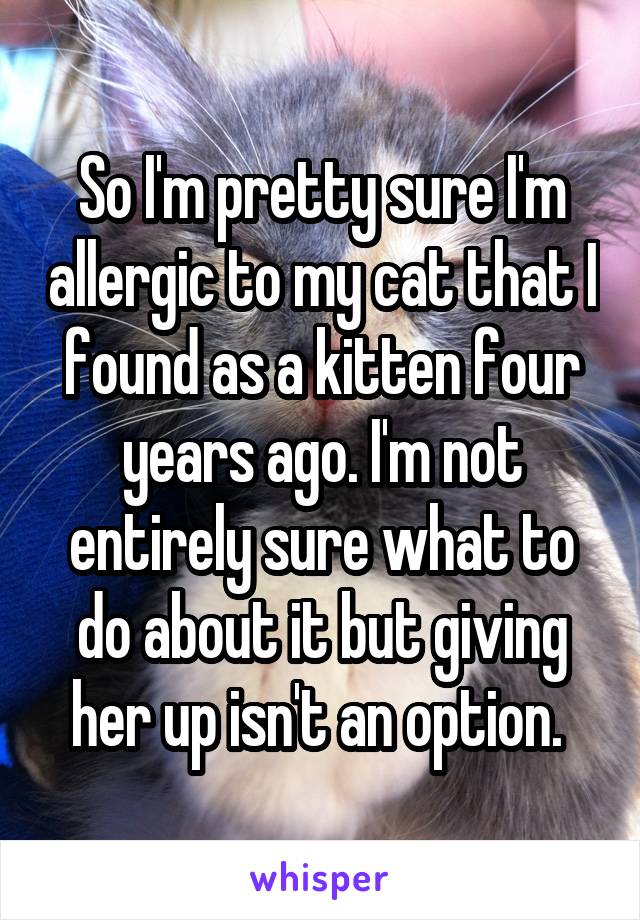 So I'm pretty sure I'm allergic to my cat that I found as a kitten four years ago. I'm not entirely sure what to do about it but giving her up isn't an option. 