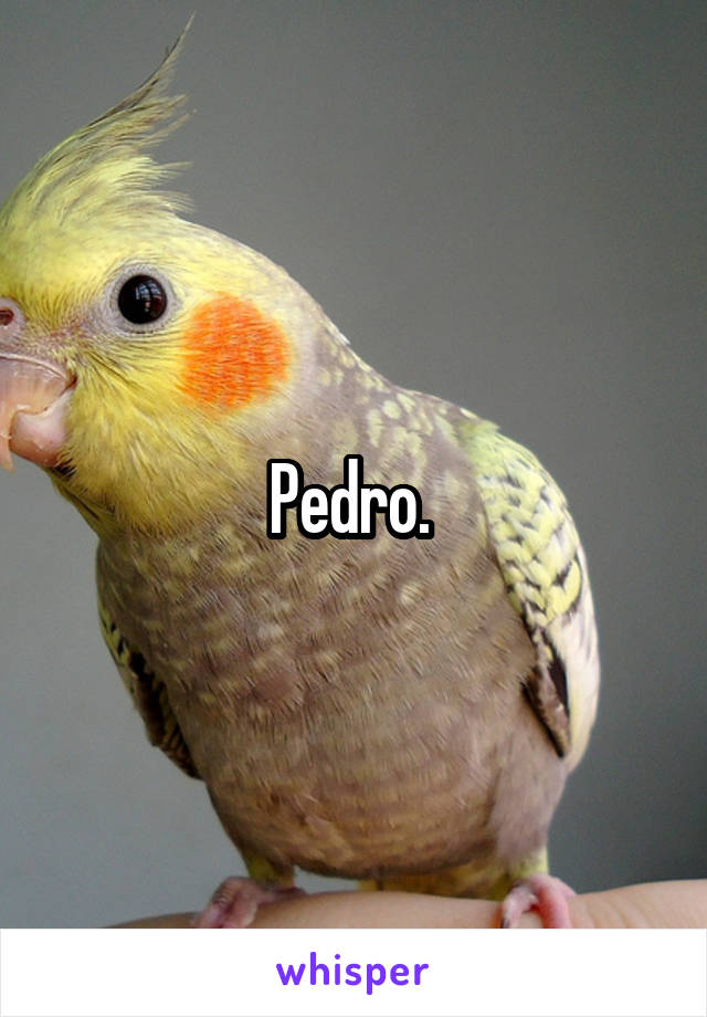Pedro. 