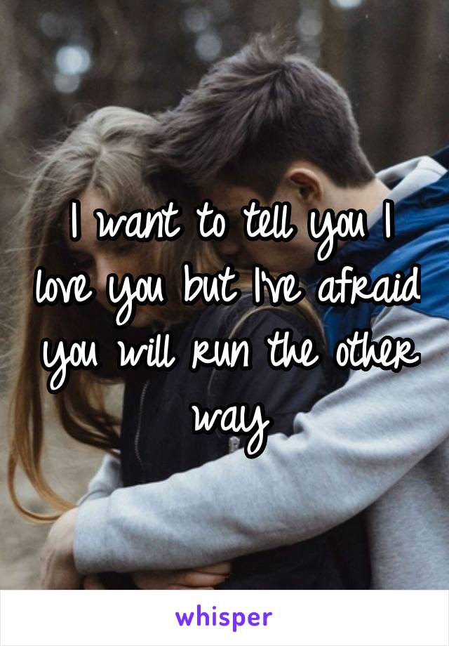 I want to tell you I love you but I've afraid you will run the other way