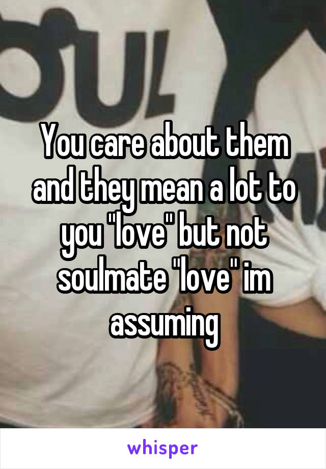 You care about them and they mean a lot to you "love" but not soulmate "love" im assuming