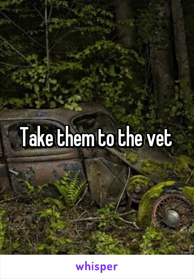 Take them to the vet 