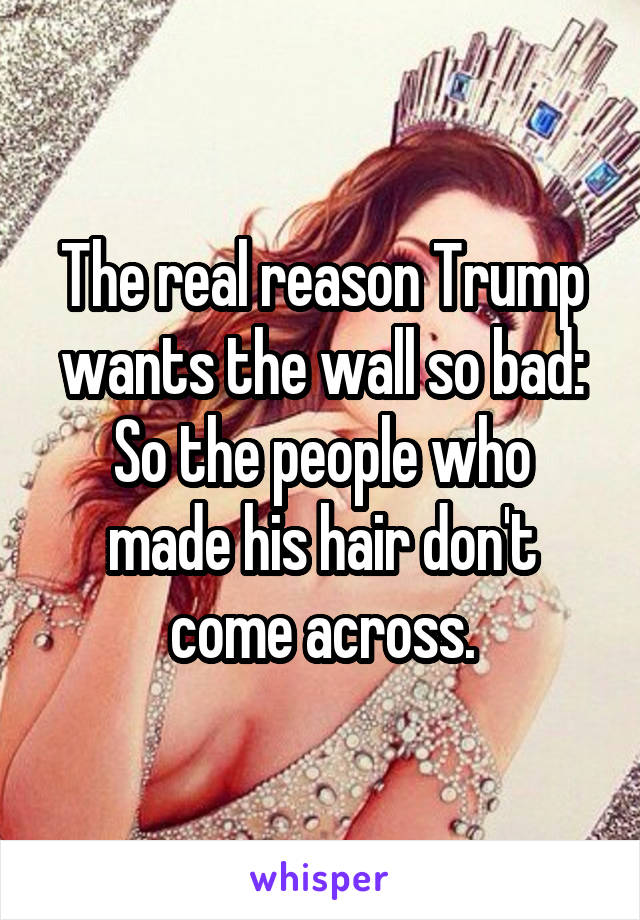 The real reason Trump wants the wall so bad:
So the people who made his hair don't come across.