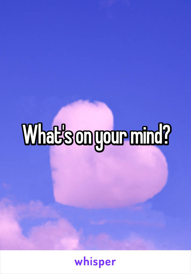 What's on your mind?