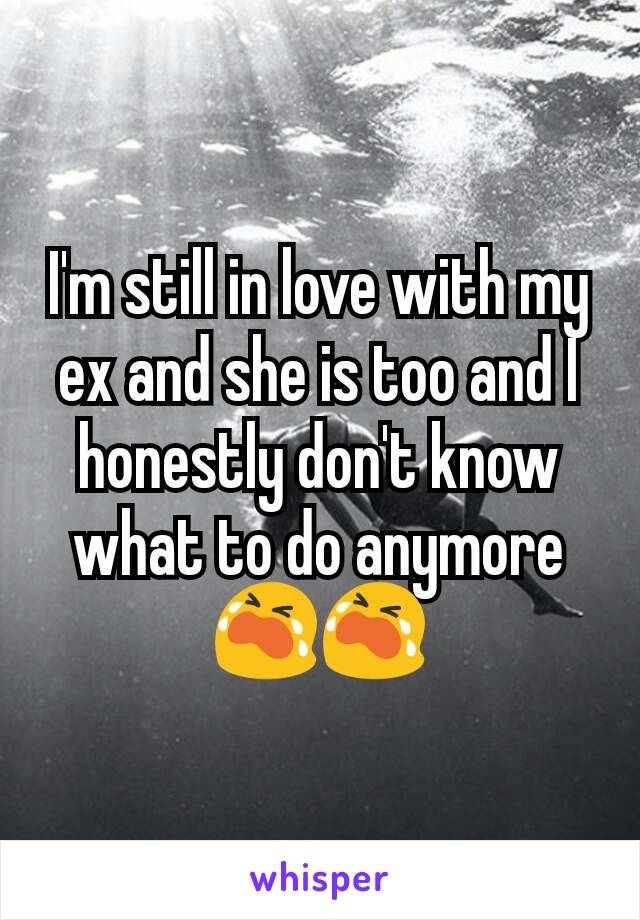 I'm still in love with my ex and she is too and I honestly don't know what to do anymore😭😭