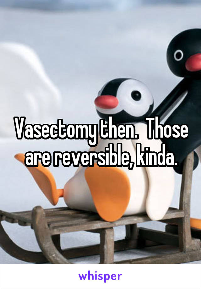 Vasectomy then.  Those are reversible, kinda.
