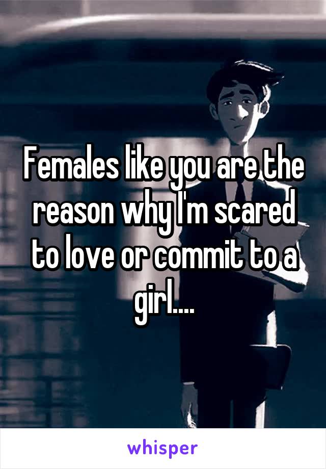 Females like you are the reason why I'm scared to love or commit to a girl....