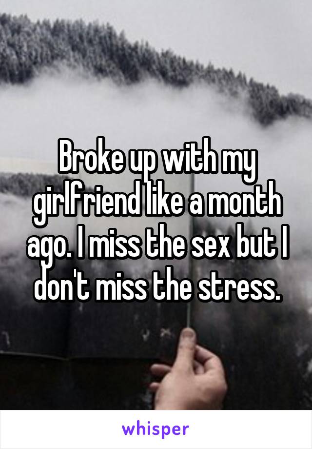 Broke up with my girlfriend like a month ago. I miss the sex but I don't miss the stress.