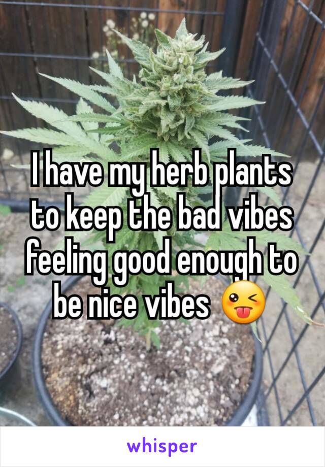 I have my herb plants to keep the bad vibes feeling good enough to be nice vibes 😜