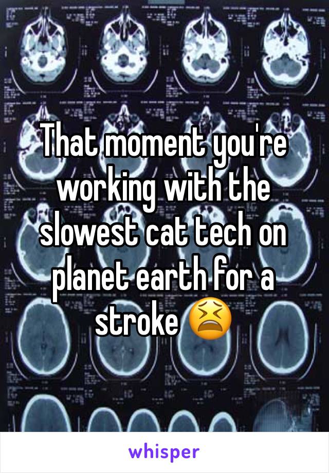 That moment you're working with the slowest cat tech on planet earth for a stroke 😫