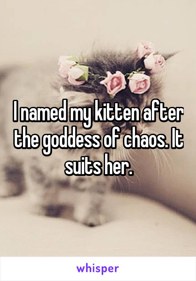 I named my kitten after the goddess of chaos. It suits her.