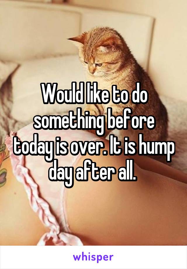 Would like to do something before today is over. It is hump day after all. 