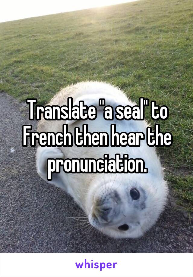 Translate "a seal" to French then hear the pronunciation.
