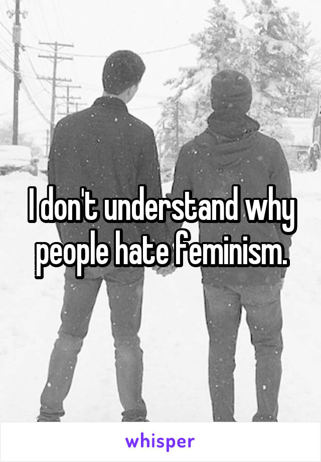 I don't understand why people hate feminism.