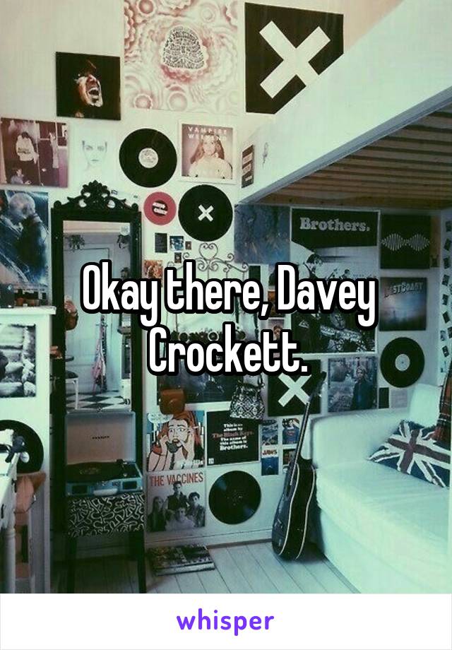 Okay there, Davey Crockett.