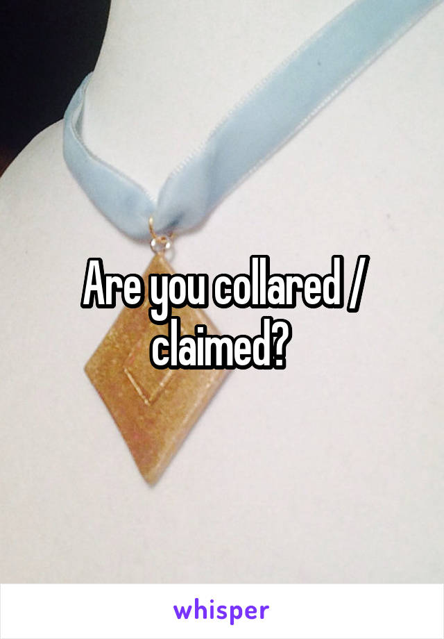 Are you collared / claimed? 
