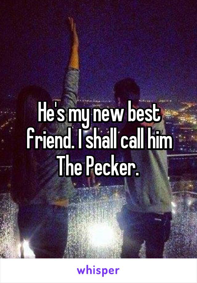 He's my new best friend. I shall call him The Pecker. 