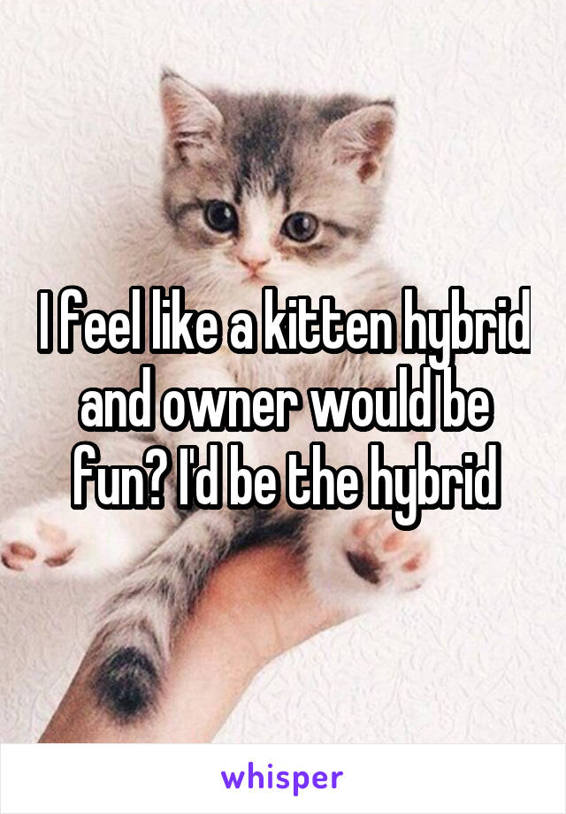 I feel like a kitten hybrid and owner would be fun? I'd be the hybrid