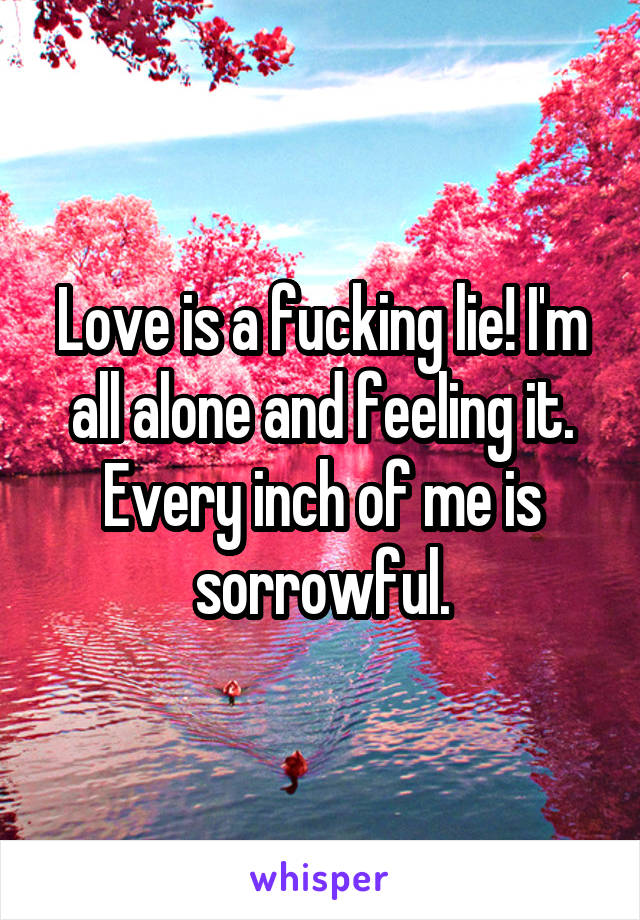Love is a fucking lie! I'm all alone and feeling it. Every inch of me is sorrowful.